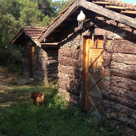 Havasupark * Mavikent