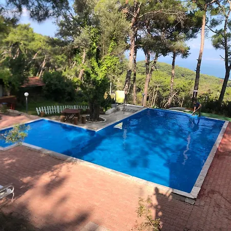 Havasupark * Mavikent