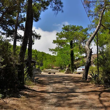 Havasupark * Mavikent