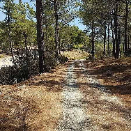 מלון Havasupark *