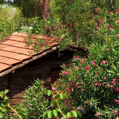 Havasupark מלון *