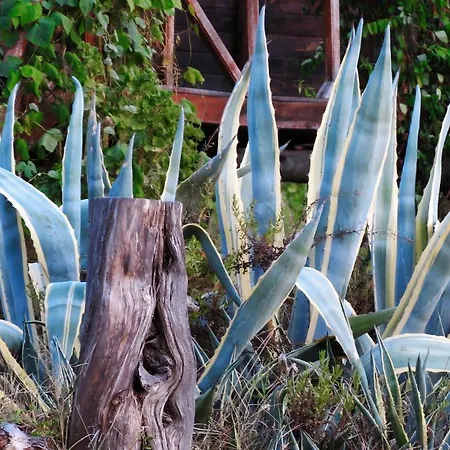 Havasupark * Mavikent