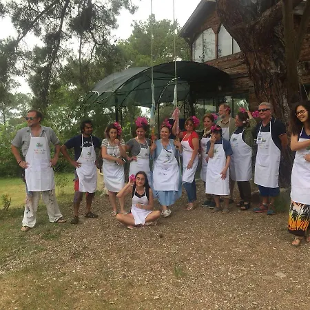 Havasupark מלון Mavikent