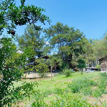 Havasupark Hotel Mavikent