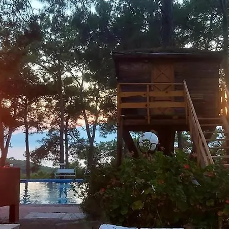 Hotel Havasupark *