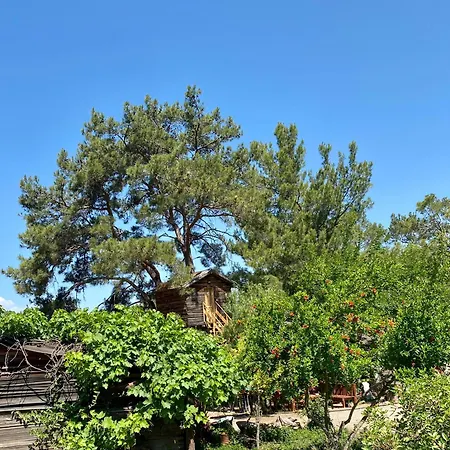 Havasupark