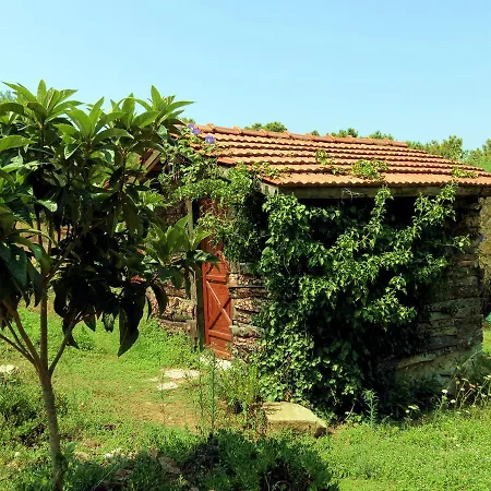 Hotell Havasupark Mavikent