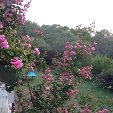 Havasupark Hotel Mavikent