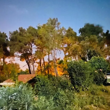 Havasupark