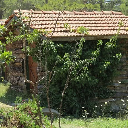 Havasupark Otel Mavikent