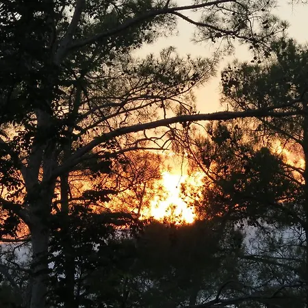 Havasupark